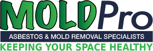 Mold Pro