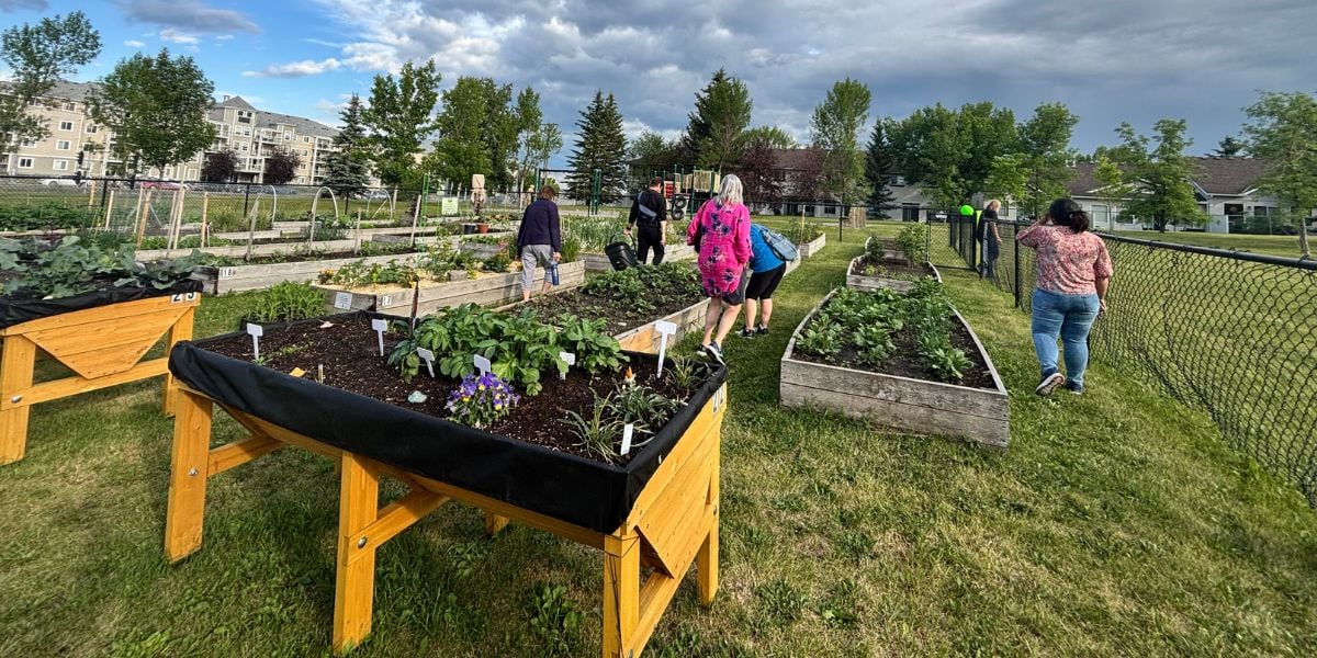 ClimateReadyYYC_SommersetBridlewood_Community Garden and Resource Library